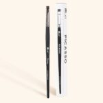 מברשת פיקאסו